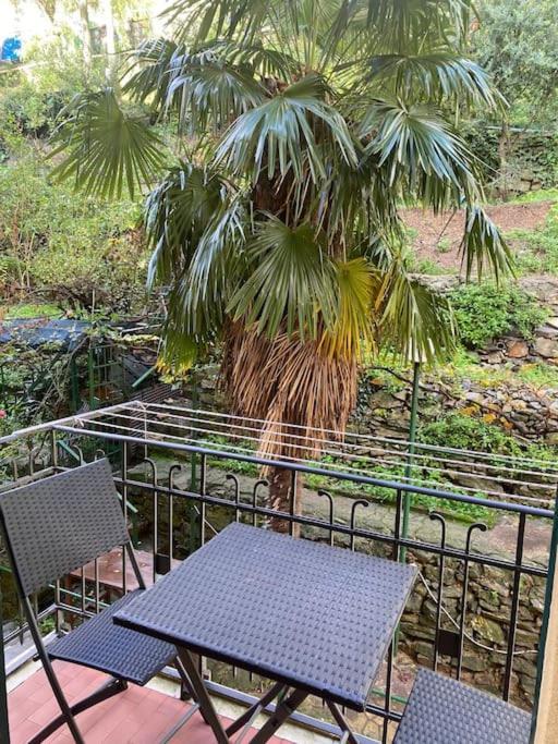 La Casa Di Ale Appartement
